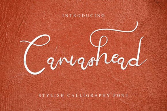 Canvashead: A Script Font for Elegant Web Design