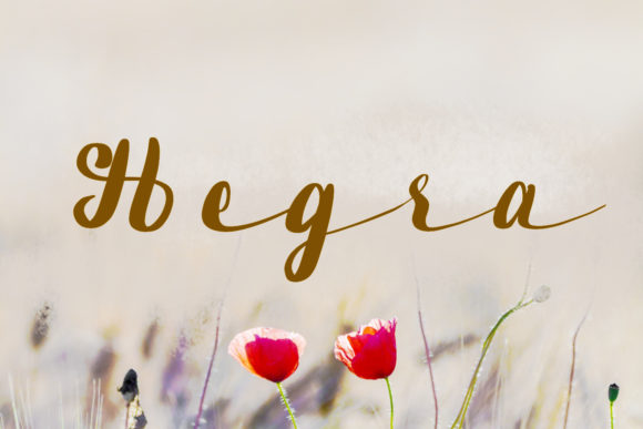 Hegra: A Handwritten Font for Editorial Elegance